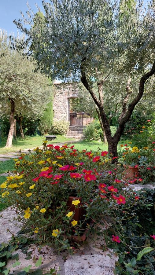 Azienda Agrituristica Corteforte Fumane Exteriér fotografie