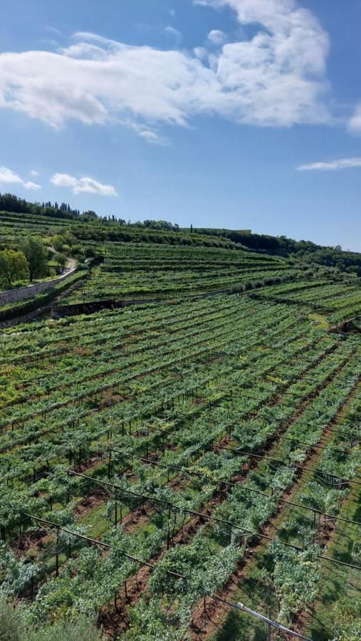 Azienda Agrituristica Corteforte Fumane Exteriér fotografie