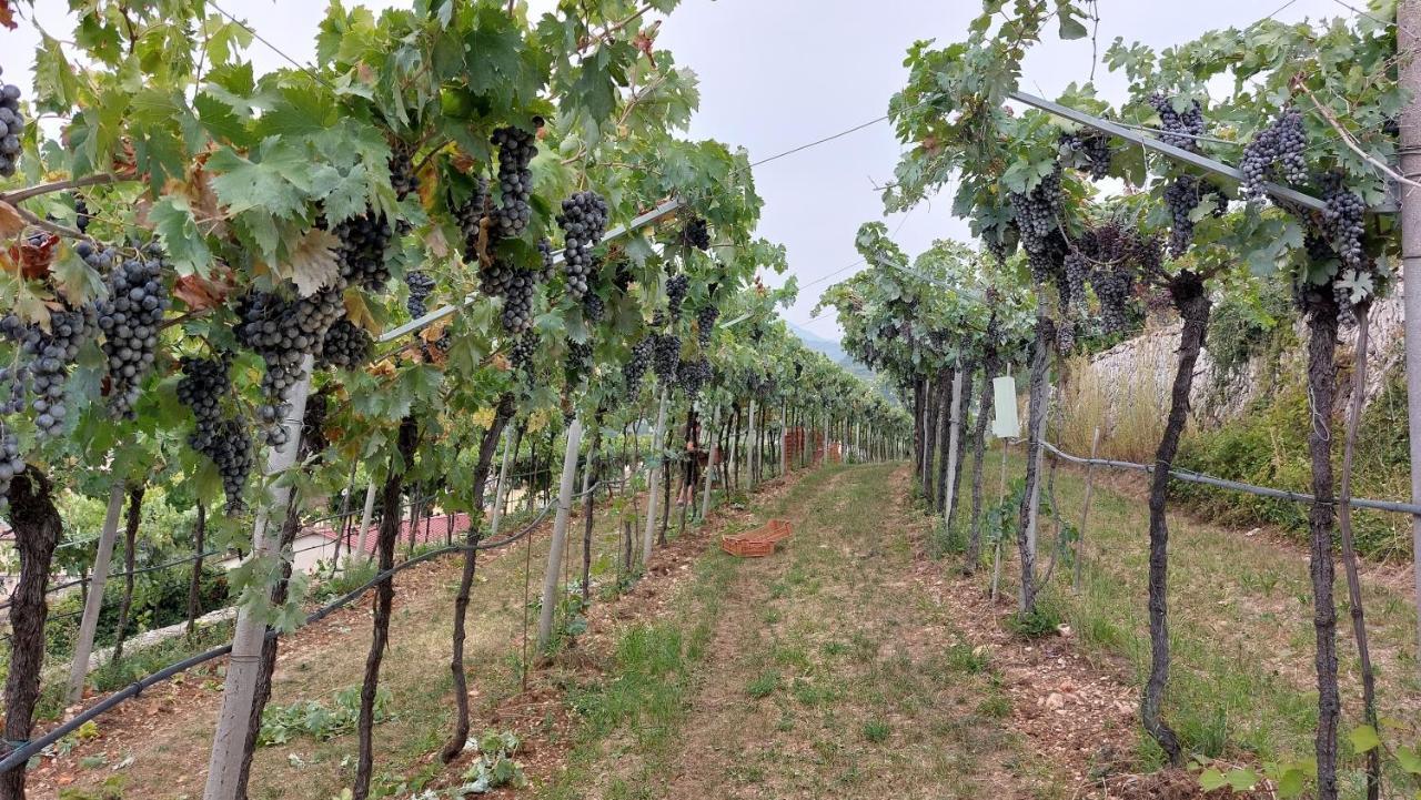 Azienda Agrituristica Corteforte Fumane Exteriér fotografie