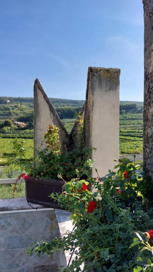 Azienda Agrituristica Corteforte Fumane Exteriér fotografie