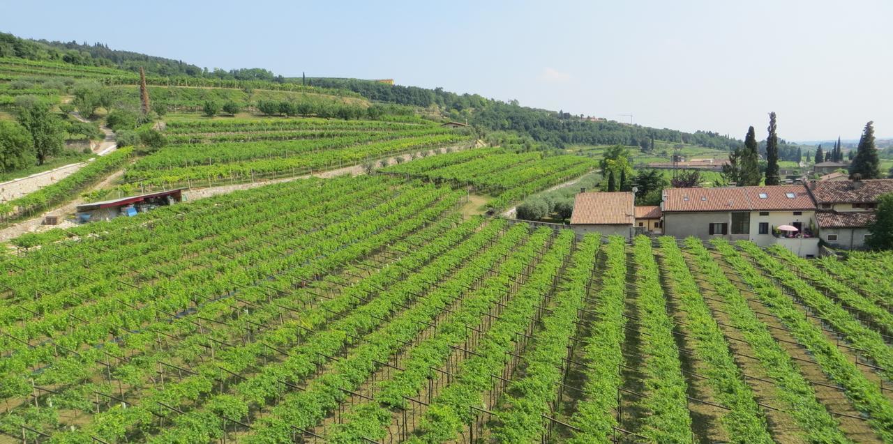 Azienda Agrituristica Corteforte Fumane Exteriér fotografie